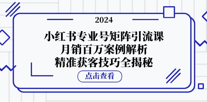 小红书专业号矩阵引流课，月销百万案例解析，精准获客技巧全揭秘-网创电课网