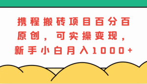 携程搬砖项目，百分百原创，可实操变现，新手小白月入1000+-网创电课网
