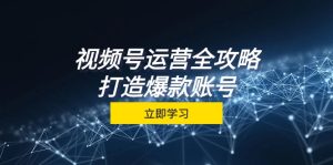 视频号运营全攻略，从定位到成交一站式学习，视频号核心秘诀，打造爆款账号-网创电课网