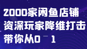 闲鱼已经饱和？纯扯淡！2000家闲鱼店铺资深玩家降维打击带你从0–1-网创电课网
