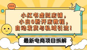 小红书电商，小白虚拟类目店铺教程，被动收益+私域引流-网创电课网