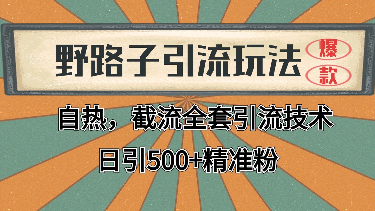 抖音小红书视频号全平台引流打法，全自动引流日引2000+精准客户-网创电课网