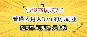 小绿书玩法2.0，超简单，普通人月入3w+的小副业，可批量放大-网创电课网