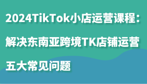 2024TikTok小店运营课程：解决东南亚跨境TK店铺运营五大常见问题-网创电课网