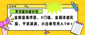 2024年下半年新风口，支付宝分成计划项目玩法，轻松月入1w+-网创电课网