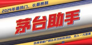 魔法贵州茅台代理,永不淘汰的项目,抛开传统玩法,使用科技,命中率极…-网创电课网