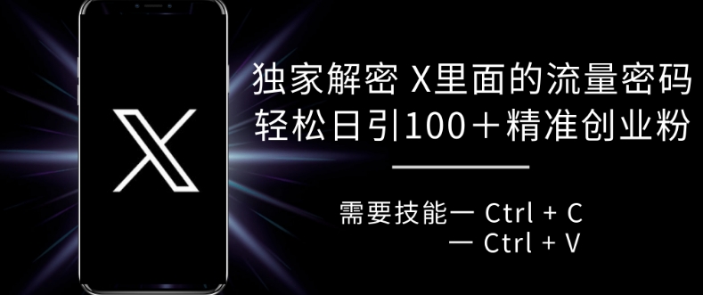 独家解密 X 里面的流量密码，复制粘贴轻松日引100+-网创电课网