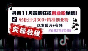 抖音11月最新狂揽创业粉秘籍，轻松日引300+精准创业粉，仅需图片+音频，轻松搞定创业类视频-网创电课网