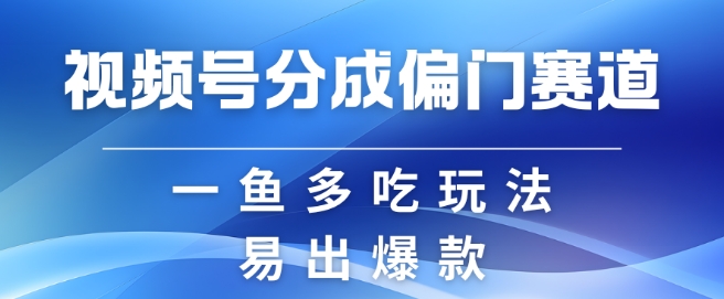 视频号创作者分成计划偏门类目，容易爆流，实拍内容简单易做-网创电课网