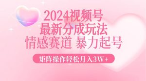 2024最新视频号分成玩法，情感赛道，暴力起号，矩阵操作轻松月入3W+-网创电课网
