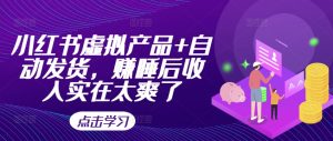 小红书虚拟产品+自动发货，赚睡后收入实在太爽了-网创电课网
