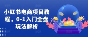 小红书电商项目教程，0-1入门全盘玩法解析-网创电课网