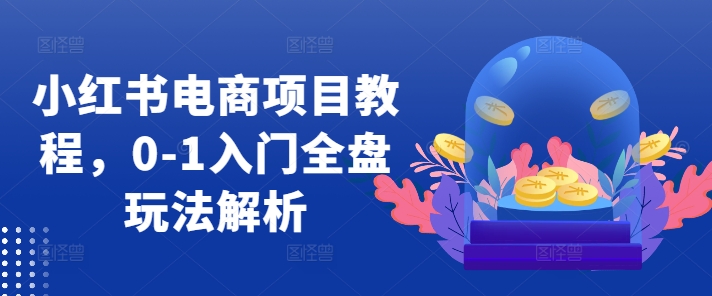 小红书电商项目教程，0-1入门全盘玩法解析-网创电课网
