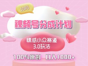 视频号情感小众赛道3.0.纯原创视频，每天1小时，小白易上手-网创电课网