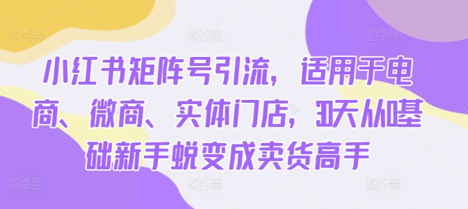 小红书矩阵号引流,适用于电商、微商、实体门店,30天从0基础新手蜕变成卖货高手-网创电课网