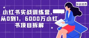 小红书实战训练营，从0到1，6000万小红书项目拆解-网创电课网