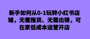 新手如何从0-1玩转小红书店铺，无需囤货、无需出镜，可在家低成本运营开店-网创电课网