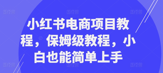 小红书电商项目教程,保姆级教程,小白也能简单上手-网创电课网