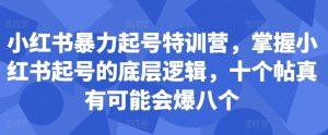 小红书暴力起号特训营，掌握小红书起号的底层逻辑，十个帖真有可能会爆八个-网创电课网