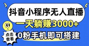 抖音小程序无人直播，一天躺赚3000+，0粉手机可搭建，不违规不限流，小…-网创电课网