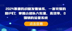 2024靠谱的战略发售体系，一套完整的助IP们，掌握小团队大批量，高效率，0 强销的运营系统-网创电课网