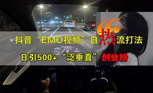 抖音EMO视频自热打法，日引500+“泛垂直”创业粉-网创电课网