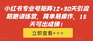 小红书专业号矩阵12+30天引流陪跑训练营，简单易操作，15天可出成绩!-网创电课网