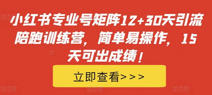 小红书专业号矩阵12+30天引流陪跑训练营，简单易操作，15天可出成绩!-网创电课网