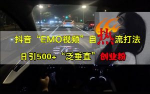 抖音EMO视频自热打法，日引500+“泛垂直”创业粉-网创电课网