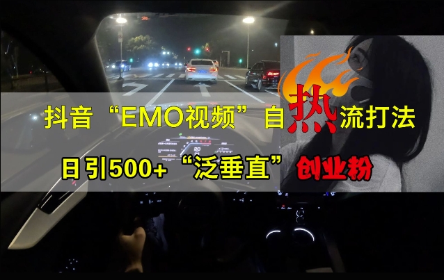 抖音EMO视频自热打法，日引500+“泛垂直”创业粉-网创电课网