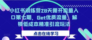 小红书训练营28天撕开流量入口第七期，Get优质流量，解锁低成本精准引流玩法-网创电课网