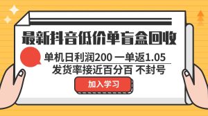 最新抖音低价单盲盒回收 一单1.05 单机日利润200 纯绿色不封号-网创电课网