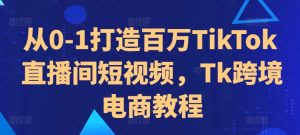 从0-1打造百万TikTok直播间短视频，Tk跨境电商教程-网创电课网