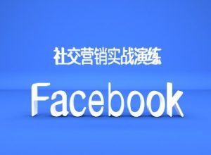 Facebook社交营销实战演练，外贸人绝对不能错过的营销推广平台-网创电课网