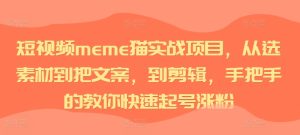 短视频meme猫实战项目，从选素材到把文案，到剪辑，手把手的教你快速起号涨粉-网创电课网