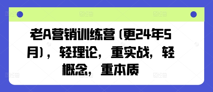 老A营销训练营(更24年10月),轻理论,重实战,轻概念,重本质-网创电课网