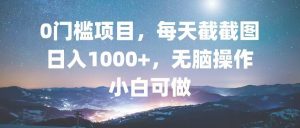 0门槛项目,每天截截图,日入1000+,轻松无脑,小白可做-网创电课网