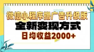 微信小程序撸广告升级版，全新变现方式，日均收益2000+-网创电课网
