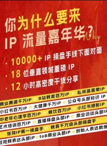 群响IP流量嘉年华,现场视频+IP江湖2024典藏版PPT-网创电课网