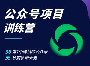 公众号项目训练营,30天做1个赚钱的公众号,秒变私域大佬-网创电课网