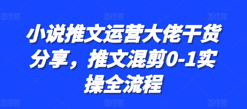 小说推文运营大佬干货分享，推文混剪0-1实操全流程-网创电课网