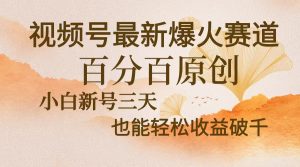 视频号最新爆火赛道，中老年粉深信不疑，百分百原创，新号三天收益轻松…-网创电课网