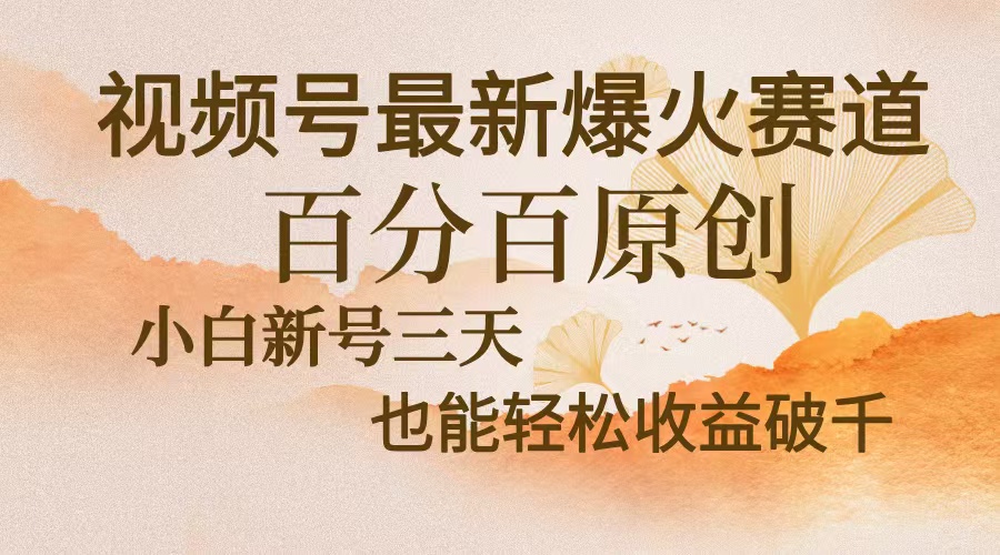 视频号最新爆火赛道，中老年粉深信不疑，百分百原创，新号三天收益轻松…-网创电课网