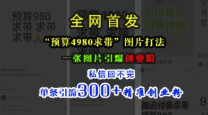 小红书“预算4980带我飞”图片打法，一张图片引爆创业粉，私信回不完，单条引流300+精准创业粉-网创电课网