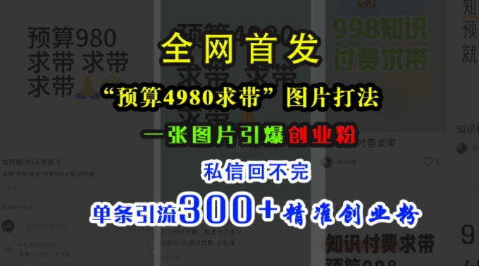 小红书“预算4980带我飞”图片打法,一张图片引爆创业粉,私信回不完,单条引流300+精准创业粉-网创电课网