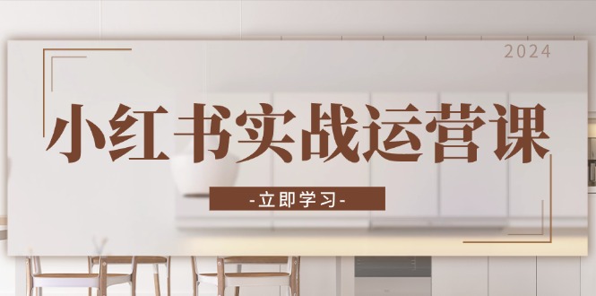 小红书实战运营课：从开通店铺到直播话术，打造爆款笔记与高效直播-网创电课网