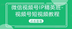 微信视频号IP精英班-视频号短视频教程-网创电课网