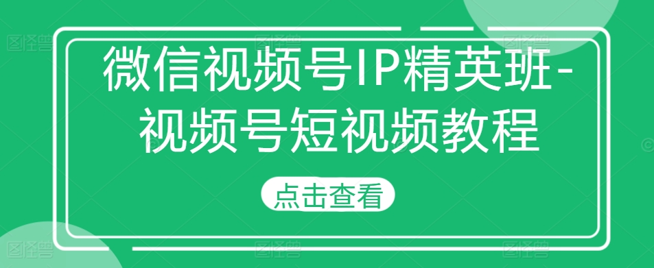 微信视频号IP精英班-视频号短视频教程-网创电课网