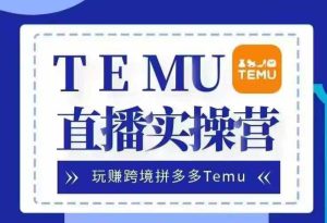 Temu直播实战营，玩赚跨境拼多多Temu，国内电商卷就出海赚美金-网创电课网