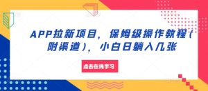 APP拉新项目，保姆级操作教程(附渠道)，小白日躺入几张-网创电课网